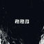 Cover 223