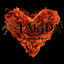 Cover The Burning Heart