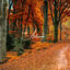 Cover Autumn