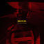 Cover BRV001