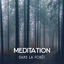 Cover Meditation dans la forêt - Musique de relaxation profonde pour détente, Sons de la nature, Chant des oiseaux, Rivière coulante, Br