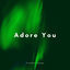 Cover Adore You