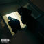 Cover CHESS