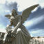 Cover esecielo