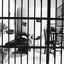 Cover Prisoner of Desire