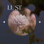Cover Lust