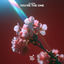 Cover You're The One