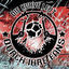 Cover Die Kurve lebt
