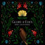 Cover Glory of Eden (Live)