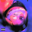 Cover RX BOTTLE