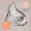 Cover The Path (Suara Summer Hit 2014)