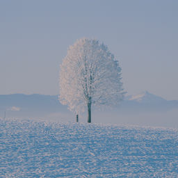''
