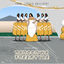 Cover Raroorwa