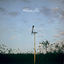 Cover Cluster & Eno