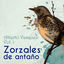 Cover Zorzales de Antaño / Alberto Vasquez Vol. 1