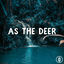 Cover As the Deer - Acoustic Instrumental