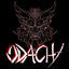 Cover Odachi