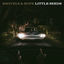 Cover Little Seeds (Deluxe Version)