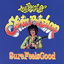 Cover Sure Feels Good: The Best Of Elvin Bishop
