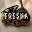 Cover TRISHA