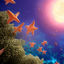 Cover Shooting Starfish