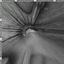 Cover Lobotomy