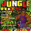 Cover Jungle Hits, Vol. 1