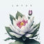 Cover Lotus