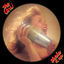 Cover Shake It Up (Expanded Edition)