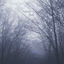 Cover Nature Flute