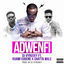 Cover Adwenfi