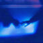 Cover true blue