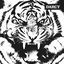 Cover Tigre