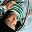 Cover CHROME CLOUDS