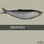 Cover BACKFISCH