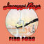 Cover Ping Pong