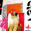 Cover sketches & notations -SKETCH SHOW REMIXES-