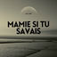 Cover Mamie si tu savais