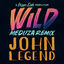 Cover Wild (MEDUZA Remix)