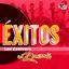 Cover Éxitos los Zemvers