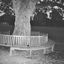 Cover A New Place 2 Drown