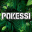 Cover Pokessi 2024