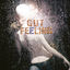 Cover Gut Feeling