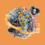 Cover Lost Grace
