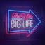 Cover Big Life