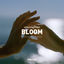 Cover Bloom