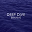 Cover Deep Dive - Brahms