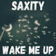 Cover Wake Me Up
