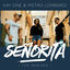 Cover Senorita (The Remixes)