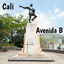 Cover Cali